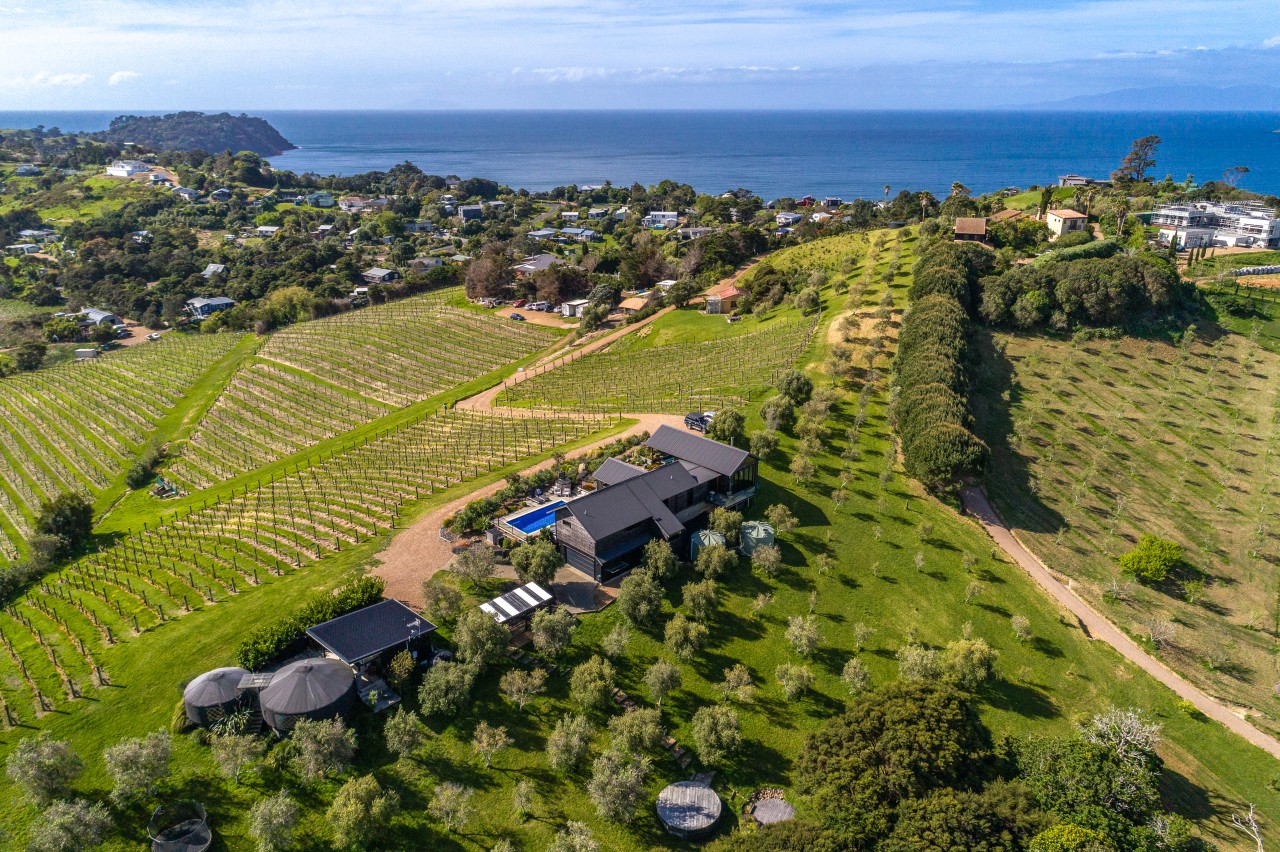 Property For Sale 7 Brown Road, Auckland 1081